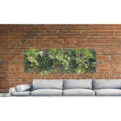 JARDIN VERTICAIS BELICE