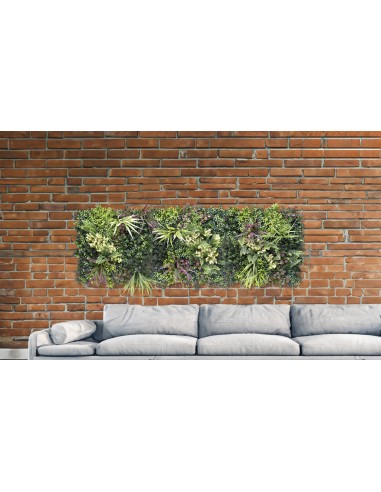 MUR VEGETAL BELICE