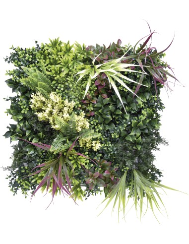 MUR VEGETAL BELICE
