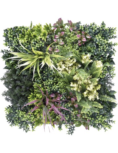 JARDIN VERTICAIS BELICE