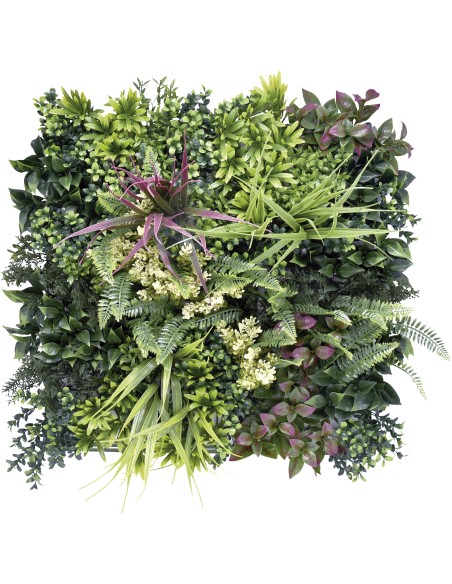 MUR VEGETAL BELICE