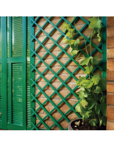 Trillis en plastiqué extensible PVC