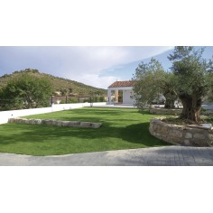 NEW TAMESIS 2X10 30MM 2