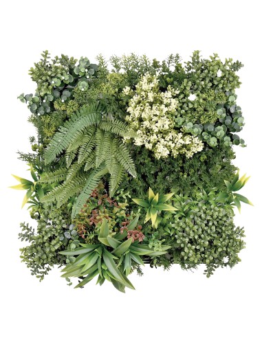 JARDIN VERTICAL COSTA RICA 2 50X50 