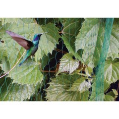 ANTI BIRDS MESH