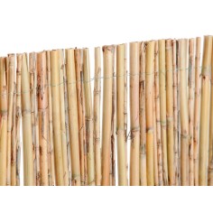 NATURAL WHOLE CANED FENCE