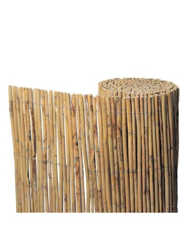 ROSEAU ENTIER NATUREL