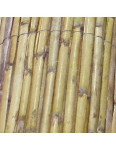 ROSEAU DEMI RONDE NATURELLE