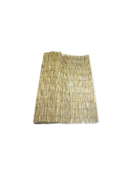 BAMBÚ PELADO 2X5 m.