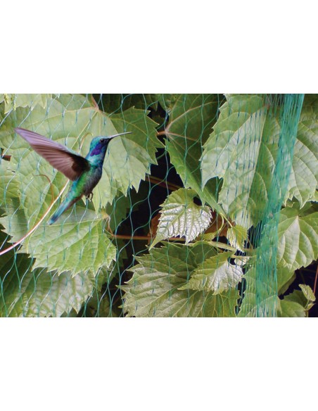 MALLA ANTIPAJAROS 8X10 M.