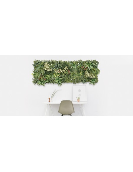 MUR VEGETAL COSTA RICA